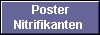  Poster
Nitrifikanten 