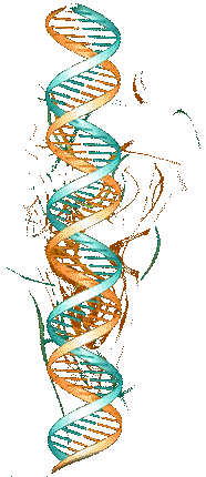 helix_hoch